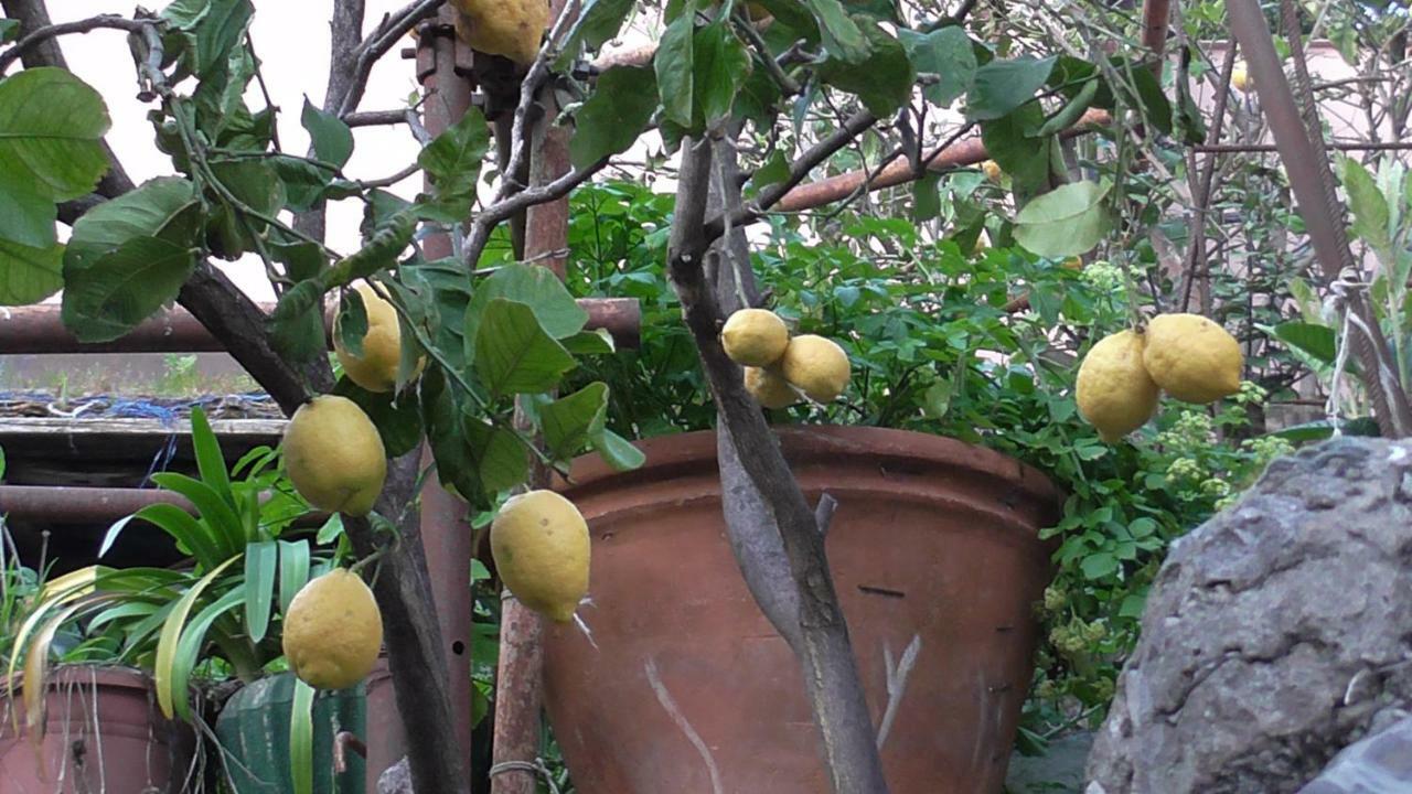 라스페치아 Il Golfo E I Limoni 아파트 외부 사진